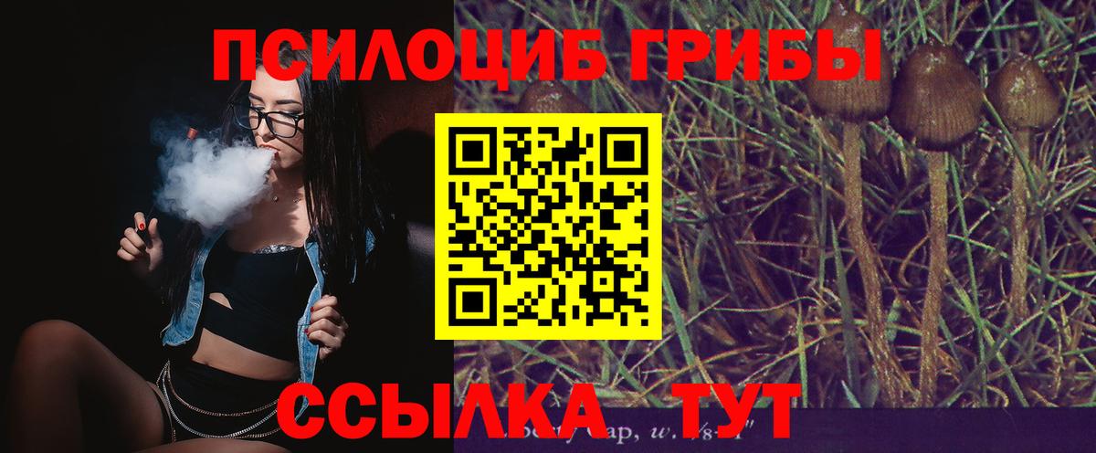 Псилоцибиновые грибы мицелий Кизилюрт