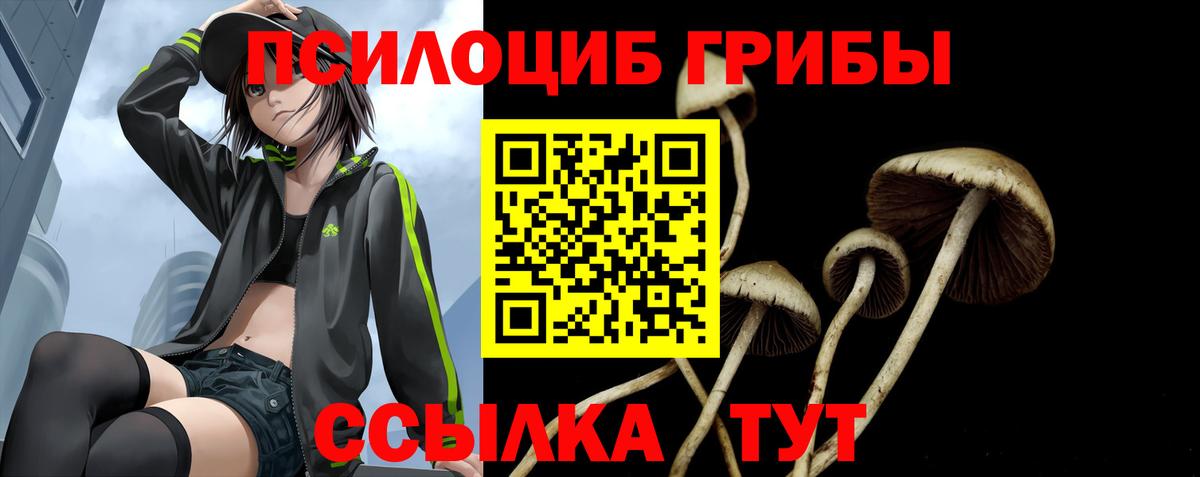 Псилоцибиновые грибы Psilocybe  Вход с VPN  Кизилюрт 